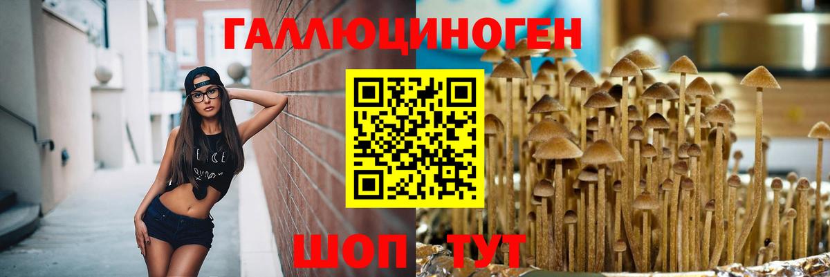 Псилоцибиновые грибы прущие грибы  Галлюциногенные грибы Cubensis  Белая Калитва  Вход с VPN 